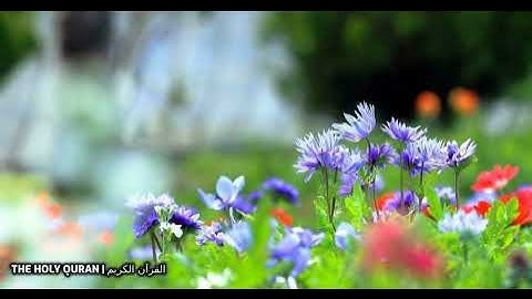 #سورة_الحجرات بصوت القارئ اسامة صبحي حسين #تلاوة #القرآن_الكريم #قرآن #القرآن #قران