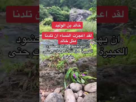 لقد اعجزت النساء ان تلدنا مثل خالد اكسبلور