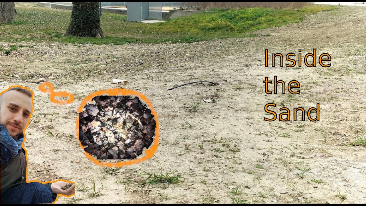 SABBIA: minerali e fossili