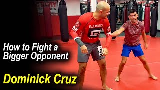 How To Fight A Bigger And Stronger Opponent by 2x UFC Champion Dominick Cruz