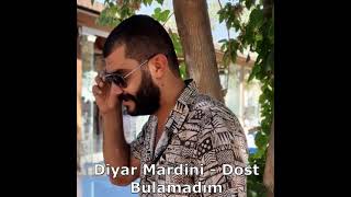 Diyar Mardini - Dost Bulamadım Resimi