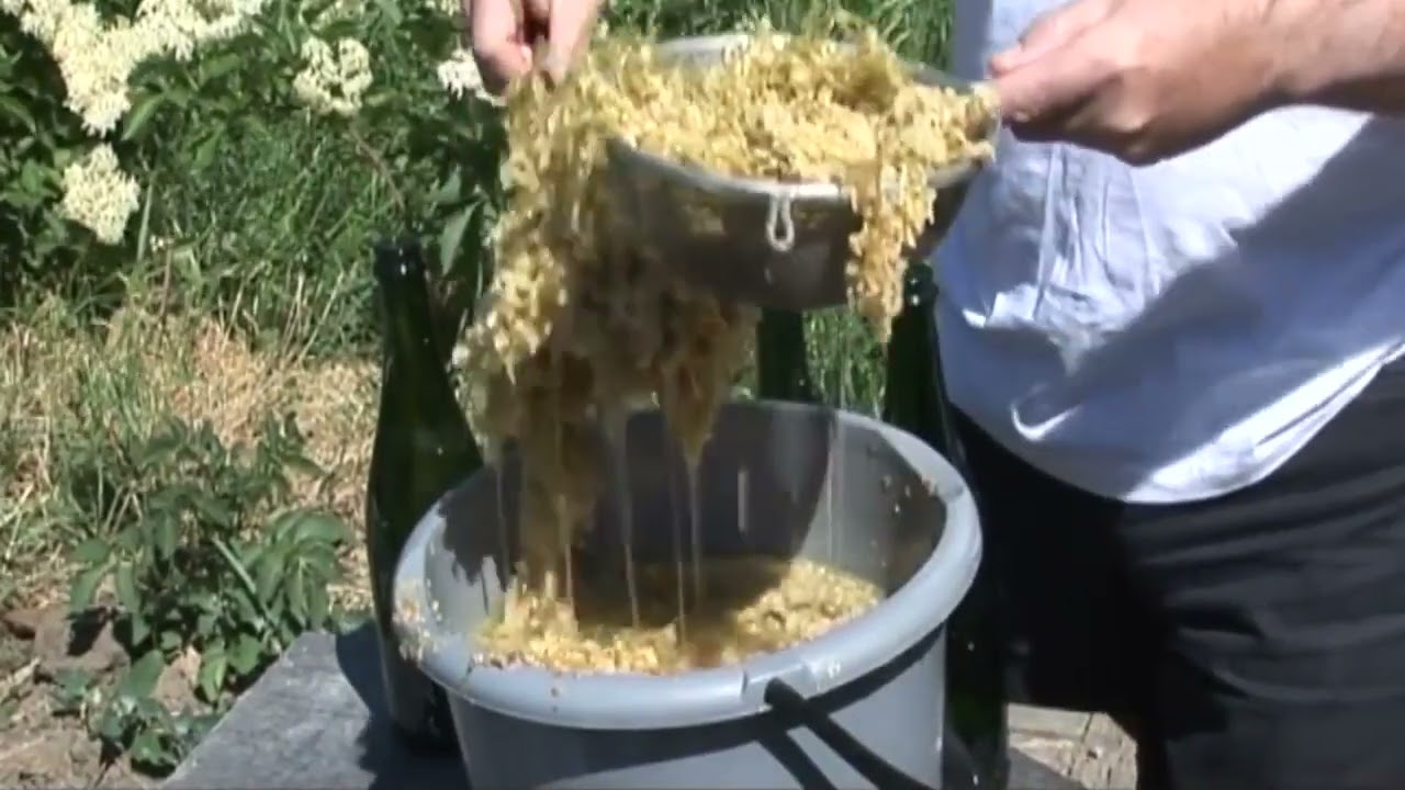 How to Make Elderflower Champagne