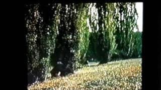 Mystery Mansion (1983), clips - Karen Renee