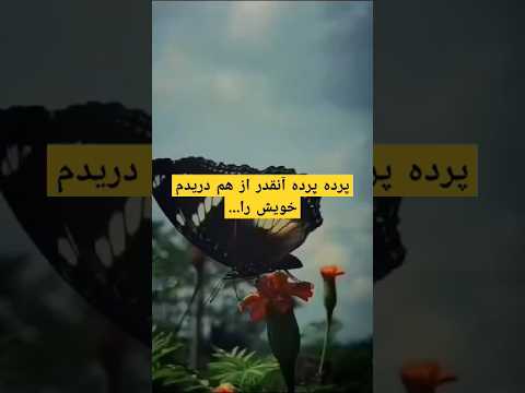 پرده پرده آنقدر از هم دریدم خویش را شعر معینی کرمانشاهی