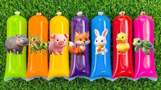 Wadidaw! Finding Animal Toys in Jelly Bags 🌈 Hippo, Grasshopper, Pig, Fox, Rabbit, Duck, Turtle