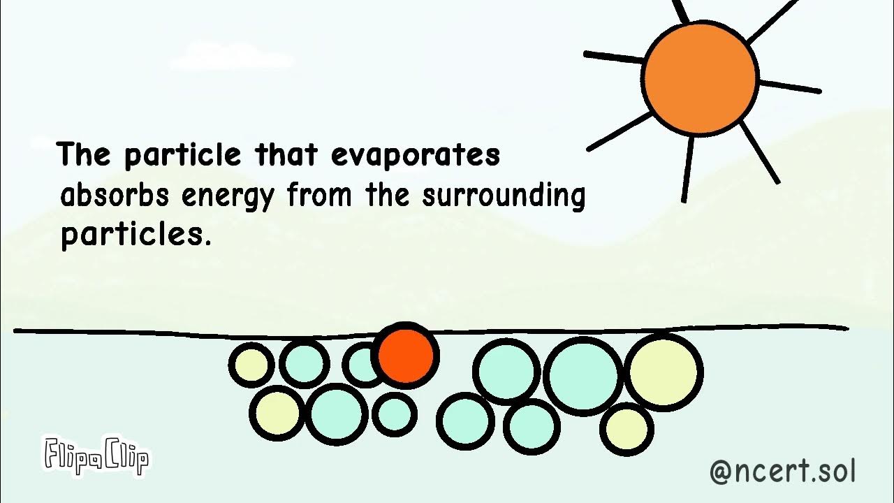 How does evaporation cause cooling? YouTube