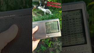 (Es) FM 96.4MHz спорадик