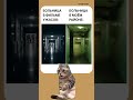#анекдоты #ржачныевидео #смех #анекдоты #ржачныевидео #смех #мем #анекдотдня #шутки #мем