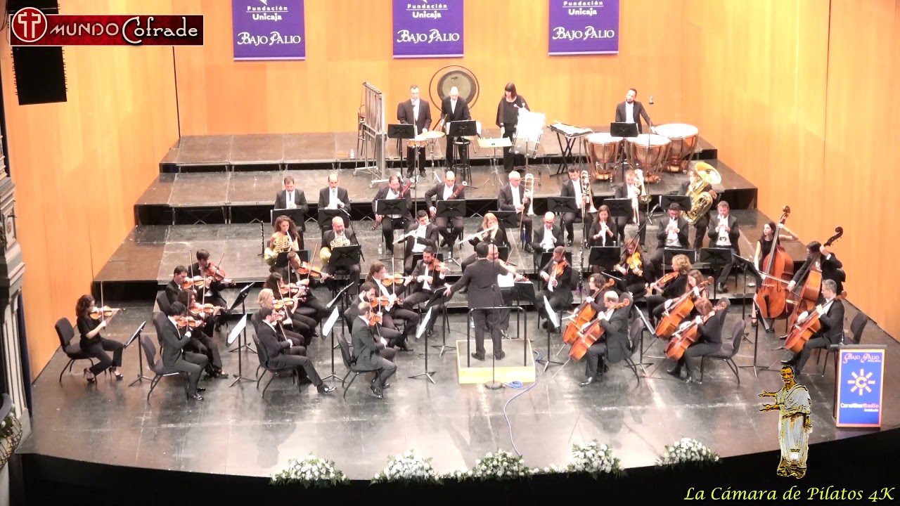 Concierto Bajo Palio Málaga 2019: Orquesta provincial de Málaga