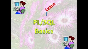Learn PL/SQL constants and literals