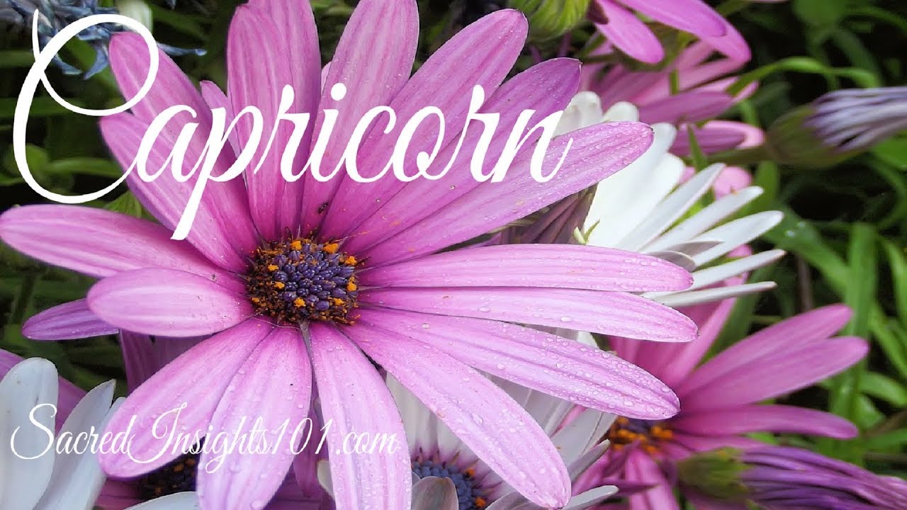 Capricorn July 2019 - Expect Miracles