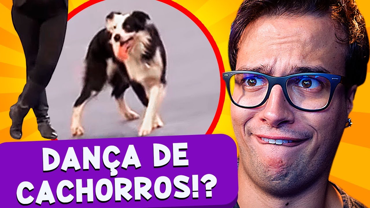 Existe CAMPEONATO de DANÇA DE CACHORRO? nick valentine brotherhood of steel