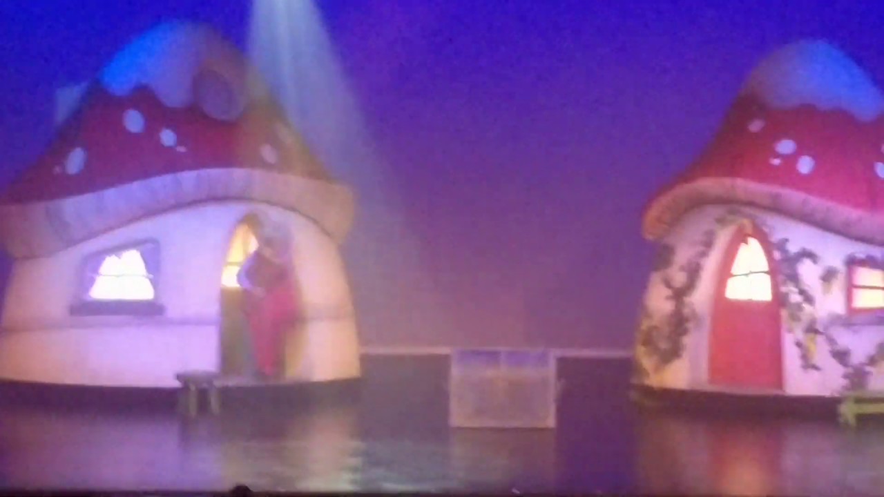 Klusshow 2017 'Elfje Van-zelfje'