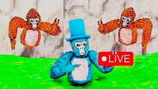 Gorilla Tag LIVE!  Playing With Viewers! #shorts #gorillatag #gtag #vr #gaming #fyp #viral