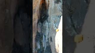 keçiler #belgesel #keçiler