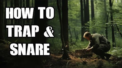 New DayZ Players Won