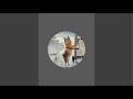 Pet Lovers is live!