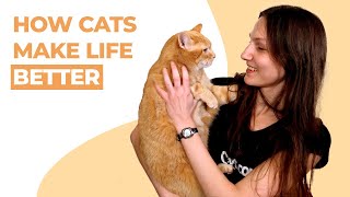 10 Ways Cats Make Life Better