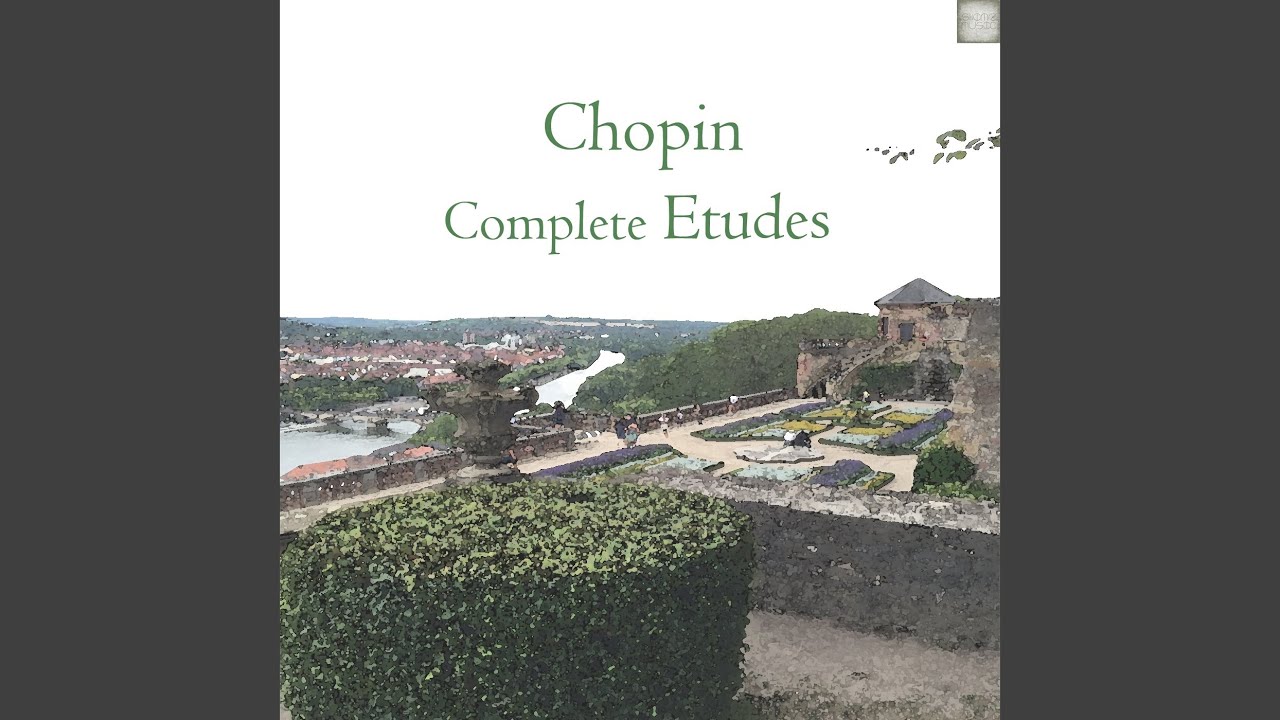 Chopin Etude Op 10 No.4 (추격) - YouTube