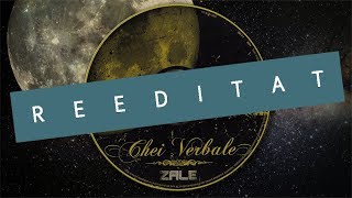 Zale - Vremuri Mai Bune Feat. Praetor Remix