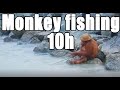 Monkey fishing for 10 hours