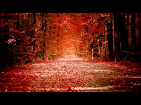 Cantonese Music (Autumn Moon Over The Han Palace) Track 06