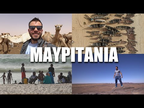 Βίντεο: Μαυριτανική μολόχα