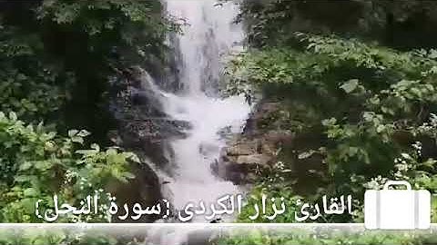 سورة النحل القارئ نزار الكردي
