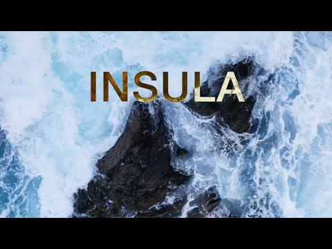 Insula