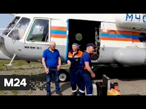 СК назвал несколько версий крушения пассажирского Ан-26 на Камчатке - Москва 24