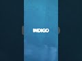 RM 'Indigo' Identity Film