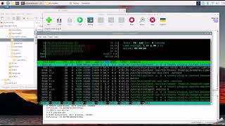 google coral usb accelerator + picamera2 classify_example on Raspbian Bullseye 64
