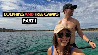 Exploring the EYRE PENINSULA (East Coast) - EPIC FREE CAMPS and cooking in the TOMMY CAMPER! screenshot 5