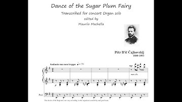 Tchaikowsky (1840-1893): Dance of the Sugar Plum Fairy ("The Nutcracker" Suite) Organ transcription