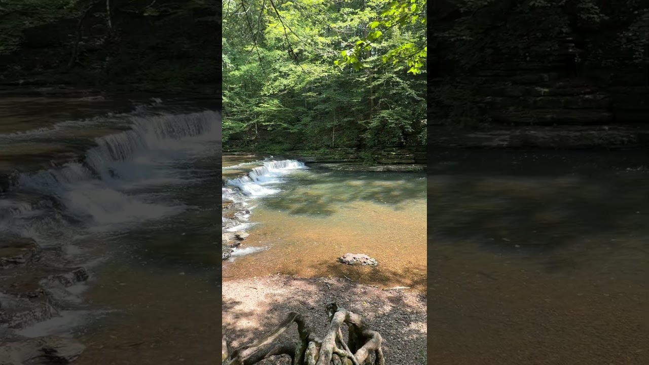 Pretty little waterfall #waterfall #nature #tennessee
