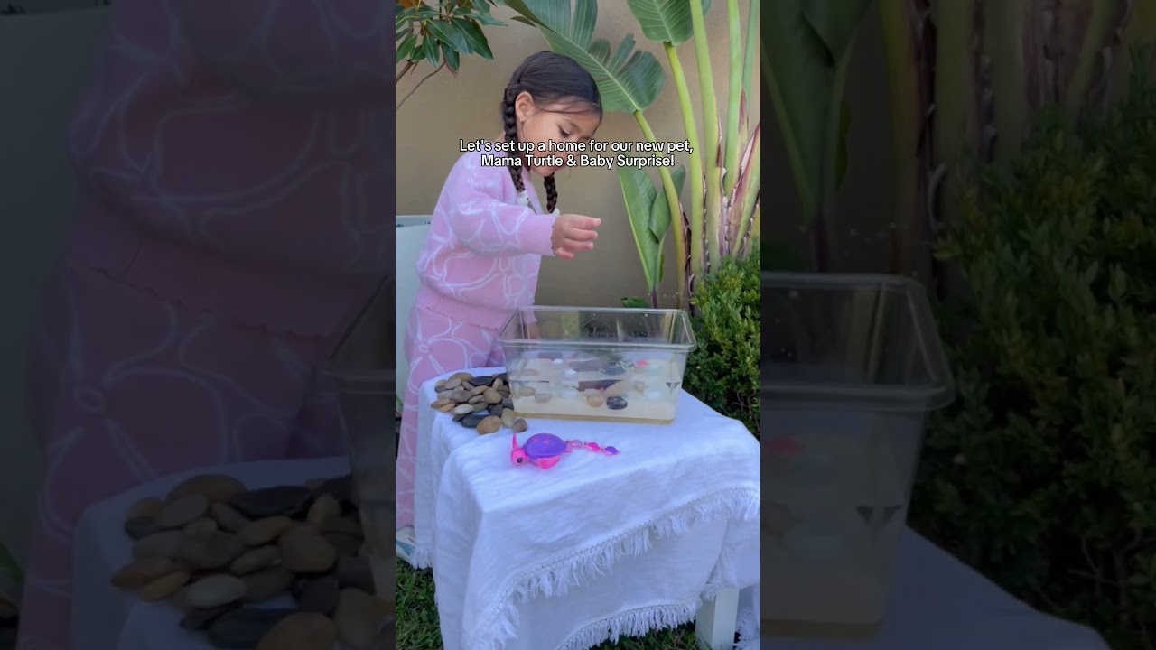 Let's Create A Home For Our Pet Turtle 🐢🏠
