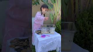 Lets Create A Home For Our Pet Turtle