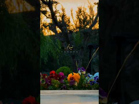 راشد الماجد نسيناكم