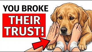 The Real Reason Your Dog Wags Its Tail (It Is Not Happiness)
