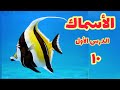 خصائص الاسماك التغذية والهضم عاشر درس أول