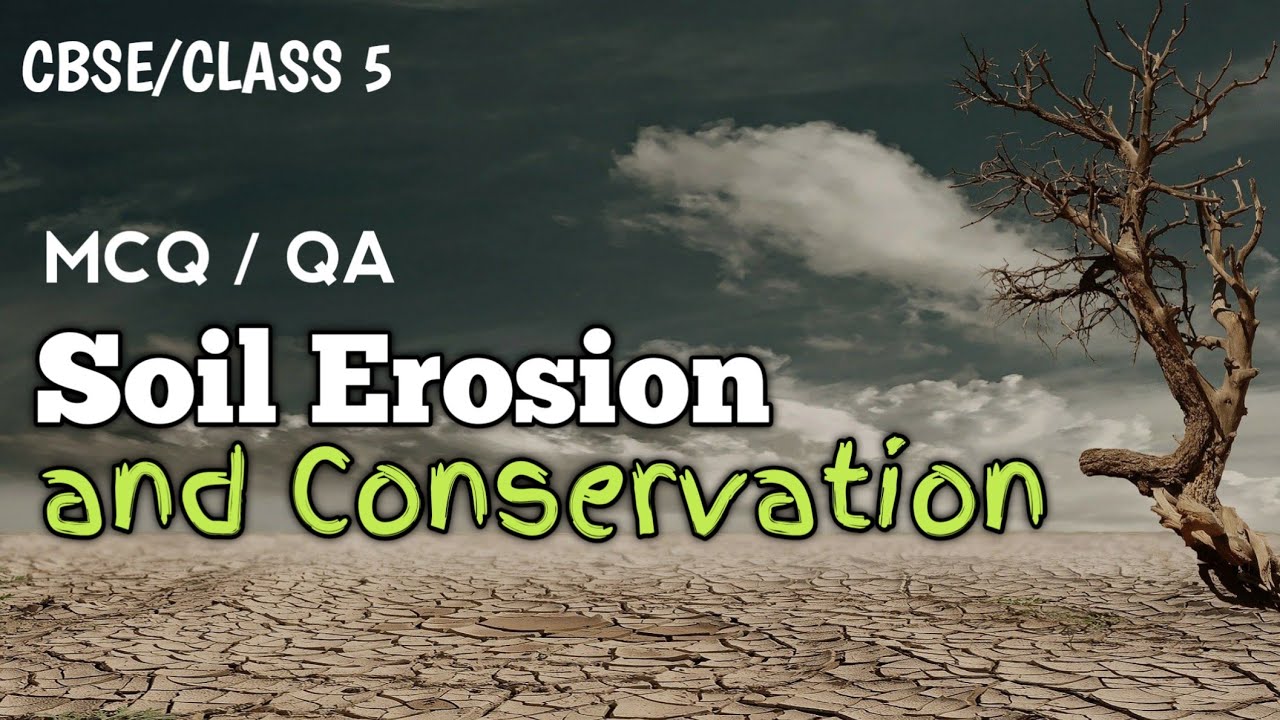 Class 5 Chapter 6 Soil Erosion and Conservation MCQ Questions