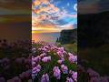Beautiful nature 4k🌠❤#nature #shorts #asthetic #travel #viral #mountains