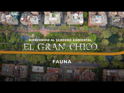 Sendero Gran Chicó - Fauna (English Subtitles)