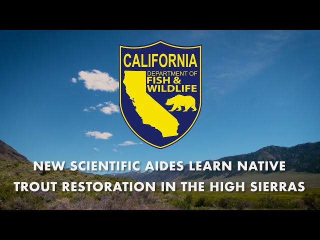 California Department Of Fish And Wildlife Logo California Game Warden