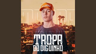 Mega Funk Tropa do Diguinho
