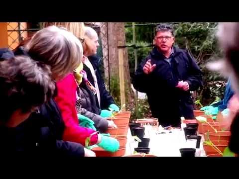 Video: Groeiende Groenten Op De Vensterbank, Vitamines Uit De Moestuin