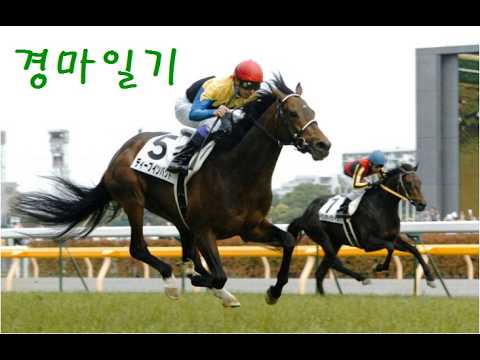 [LIVE] 7월 24일 (금)  경마일기 AI 경마예상 실시간 | 한국경마  일본경마