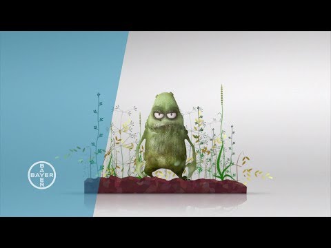 Video: Unterschied Zwischen Herbizid Und Insektizid