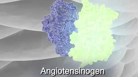 RAAS (Renin-Angiotensin-Aldosterone System)