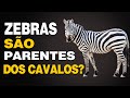 AS ZEBRAS SÃO PARENTES DOS CAVALOS?